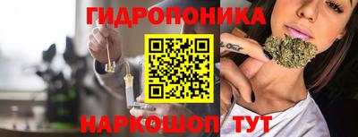 крисы Гагарин