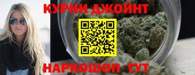 крисы Гагарин
