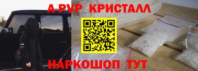 крисы Гагарин