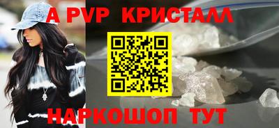 крисы Гагарин
