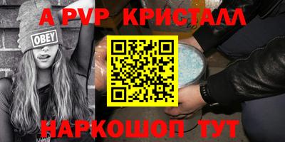 крисы Гагарин