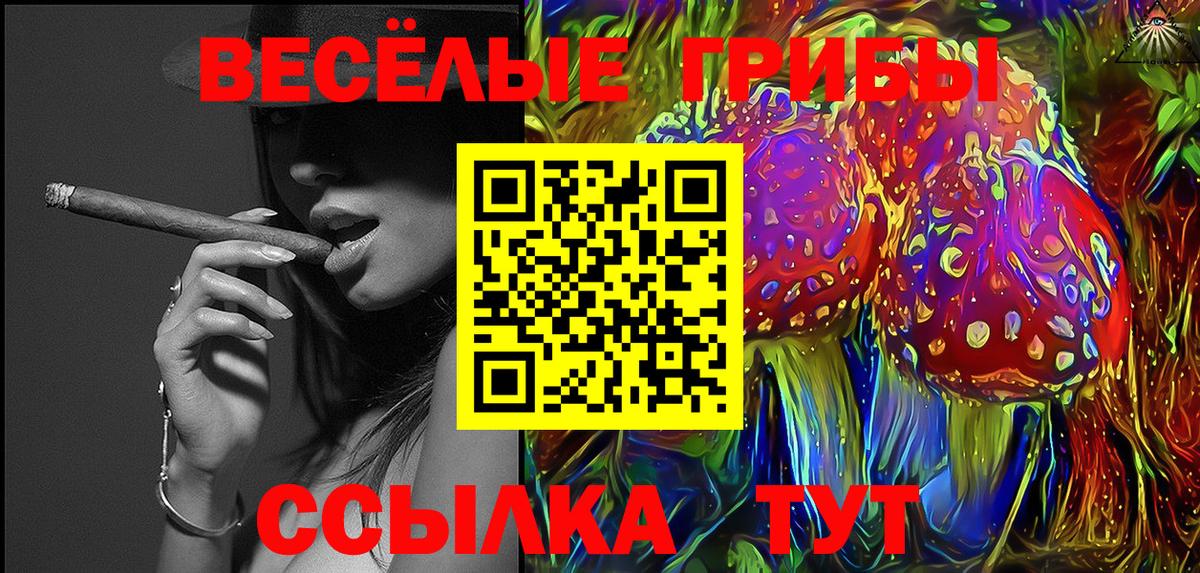 Псилоцибиновые грибы GOLDEN TEACHER Мытищи